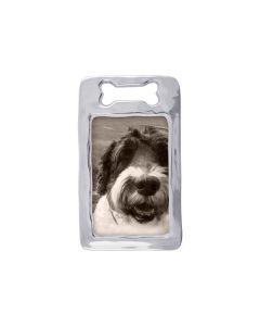 Open Dog Bone Frame