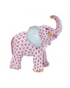 Young Elephant Raspberry